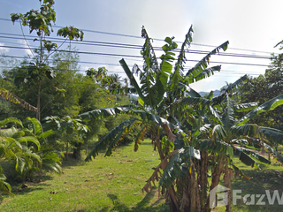 出售 土地 在 Koh Phangan, 素叻