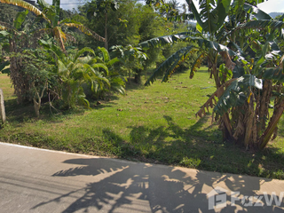 出售 土地 在 Koh Phangan, 素叻