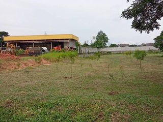 出售 土地 在 Saraphi, Chiang Mai