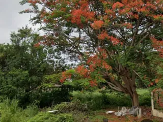出售 土地 在 Mueang Chiang Mai, Chiang Mai