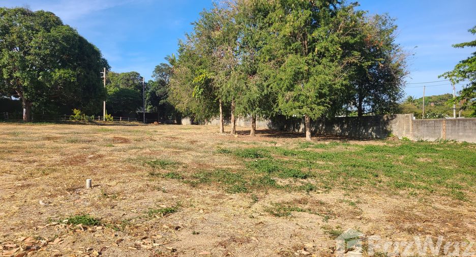 ขาย ที่ดิน ใน เกาะสมุย, สุราษฎร์ธานี