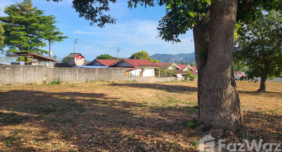 ขาย ที่ดิน ใน เกาะสมุย, สุราษฎร์ธานี