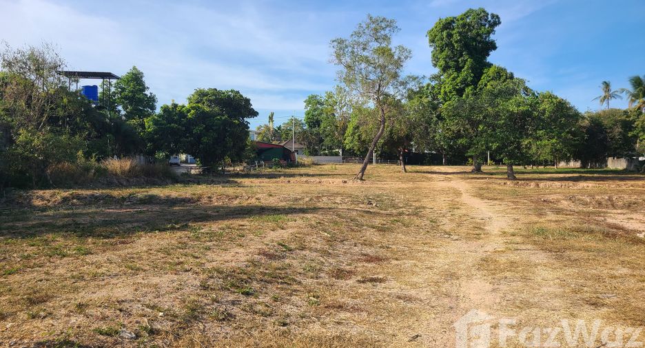ขาย ที่ดิน ใน เกาะสมุย, สุราษฎร์ธานี