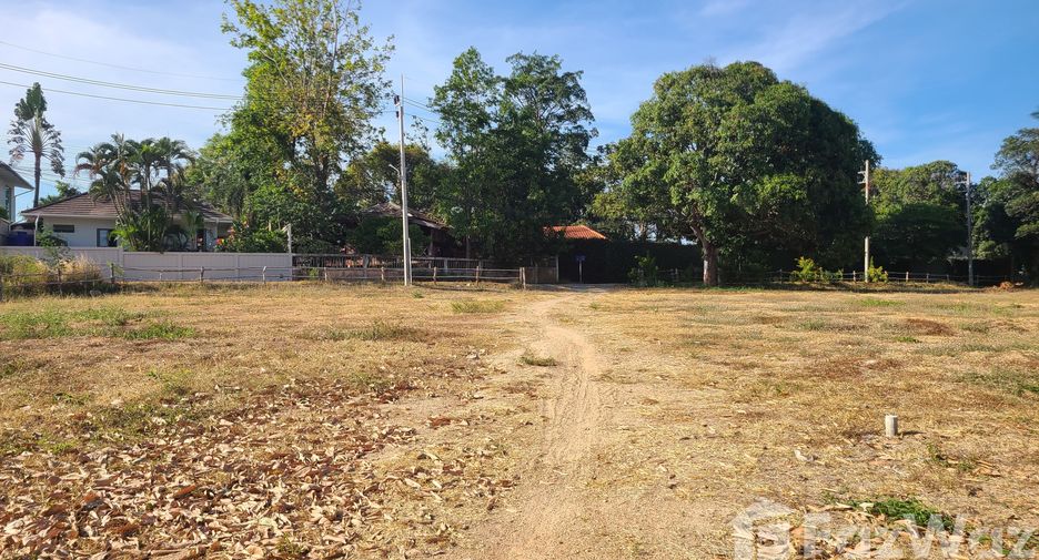 ขาย ที่ดิน ใน เกาะสมุย, สุราษฎร์ธานี