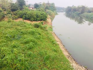 For sale land in San Pa Tong, Chiang Mai