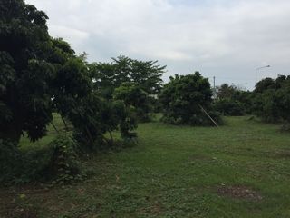 For sale land in San Pa Tong, Chiang Mai