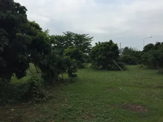 For sale land in San Pa Tong, Chiang Mai