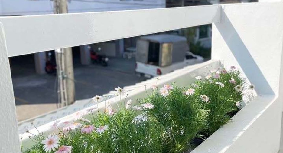 For sale 2 bedrooms townhouse in Mueang Chiang Mai, Chiang Mai