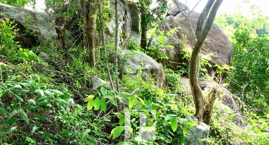 À vendre terrain à Ko Pha-ngan, Surat Thani