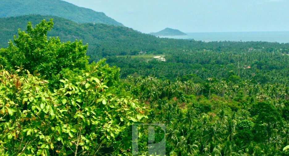 À vendre terrain à Ko Pha-ngan, Surat Thani