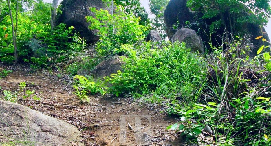 À vendre terrain à Ko Pha-ngan, Surat Thani