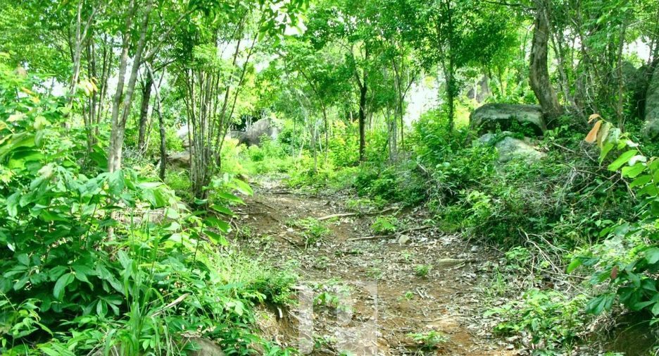 À vendre terrain à Ko Pha-ngan, Surat Thani