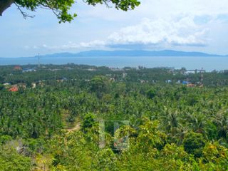 À vendre terrain à Ko Pha-ngan, Surat Thani