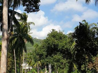 For sale land in Ko Samui, Surat Thani