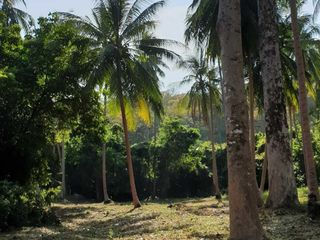 For sale land in Ko Samui, Surat Thani