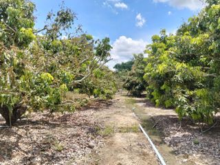 For sale land in San Pa Tong, Chiang Mai