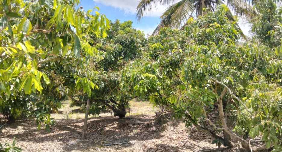 For sale land in San Pa Tong, Chiang Mai