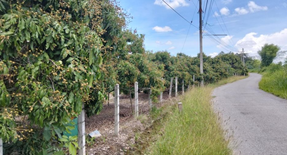 For sale land in San Pa Tong, Chiang Mai