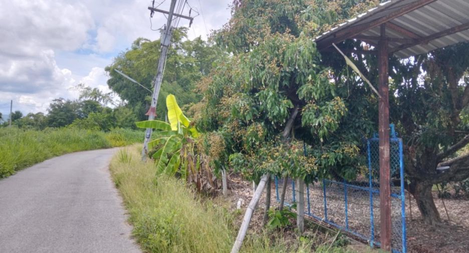 For sale land in San Pa Tong, Chiang Mai