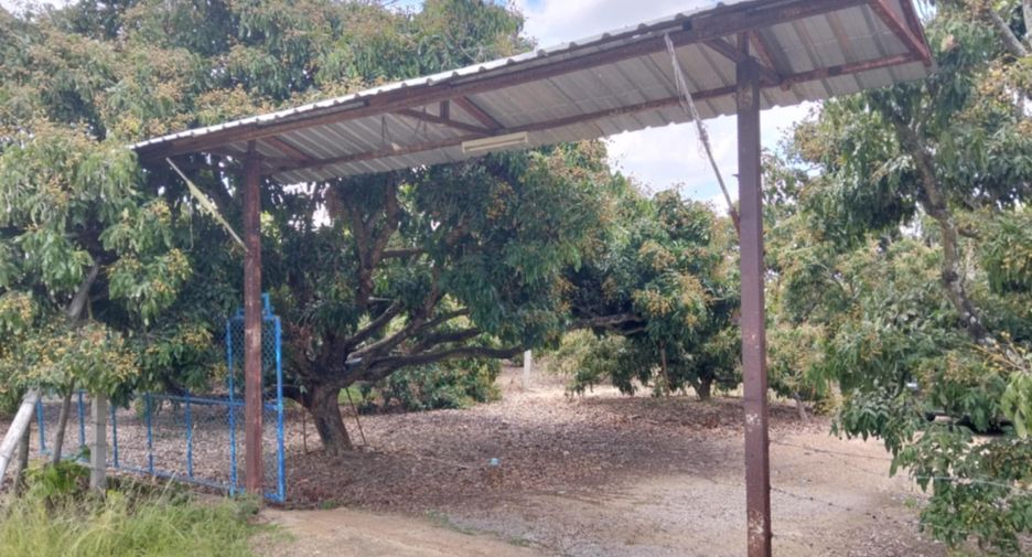 For sale land in San Pa Tong, Chiang Mai