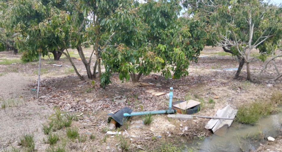 For sale land in San Pa Tong, Chiang Mai
