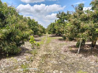 For sale land in San Pa Tong, Chiang Mai