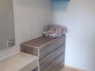 For rent 1 bed condo in Thalang, Phuket