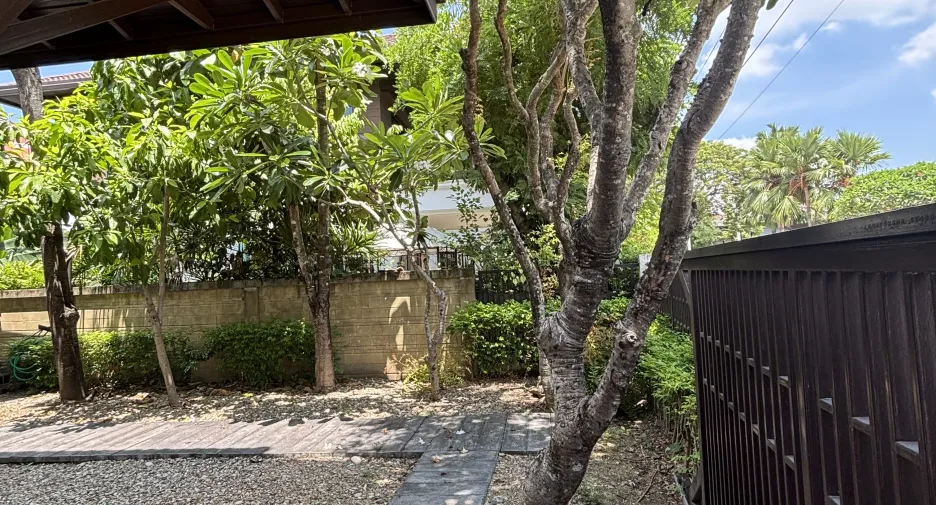 For sale and for rent 4 bedrooms house in San Sai, Chiang Mai