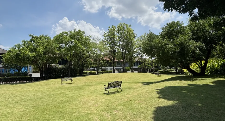 For sale and for rent 4 bedrooms house in San Sai, Chiang Mai