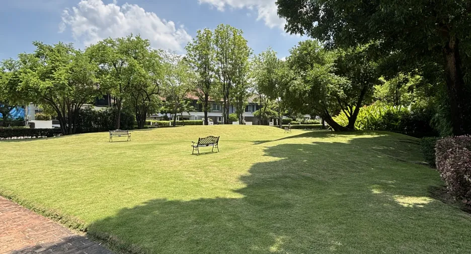 For sale and for rent 4 bedrooms house in San Sai, Chiang Mai