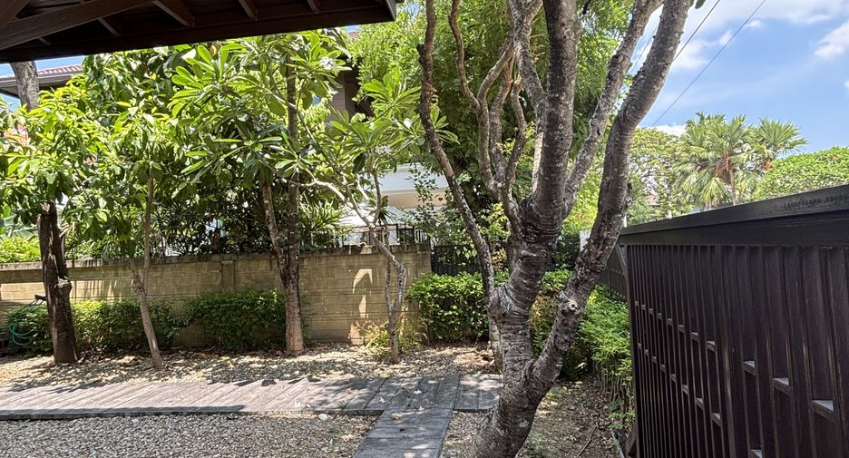 For sale and for rent 4 bedrooms house in San Sai, Chiang Mai