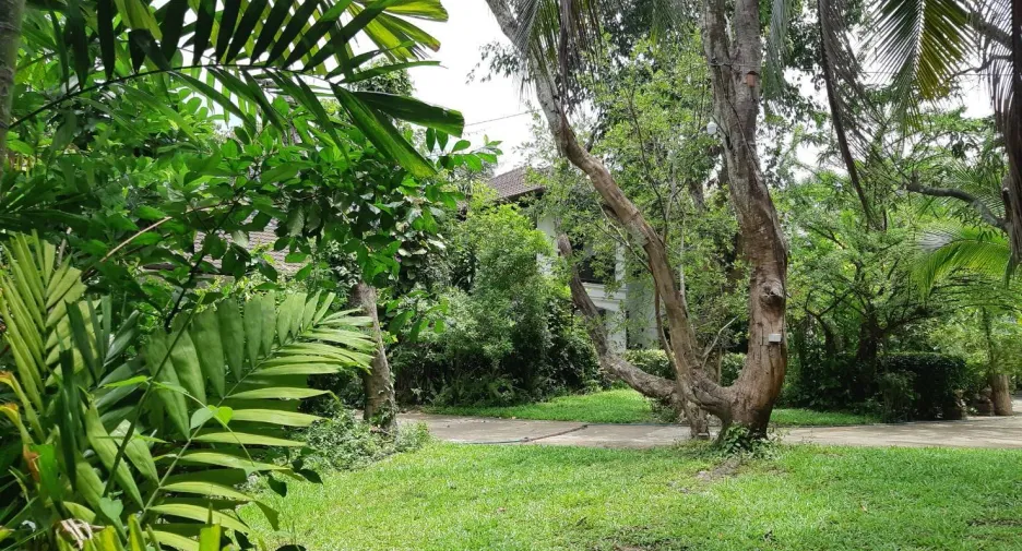 For rent 5 bedrooms villa in Saraphi, Chiang Mai