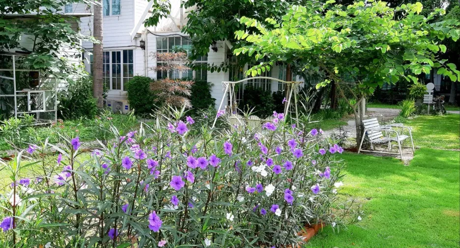 For rent 5 bedrooms villa in Saraphi, Chiang Mai