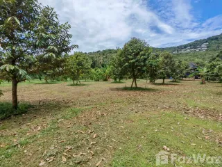 For sale land in Ko Samui, Surat Thani