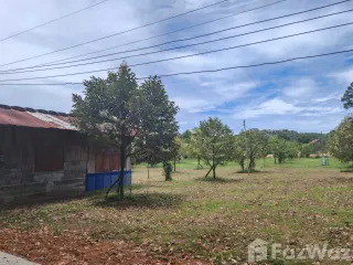 For sale land in Ko Samui, Surat Thani
