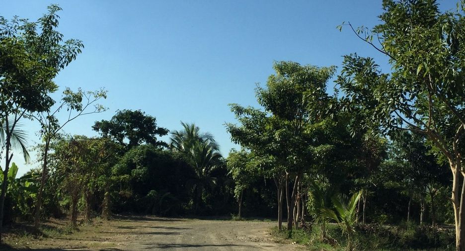 For sale land in San Pa Tong, Chiang Mai