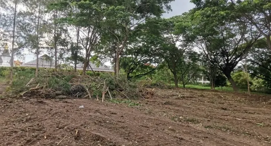 For sale land in Saraphi, Chiang Mai