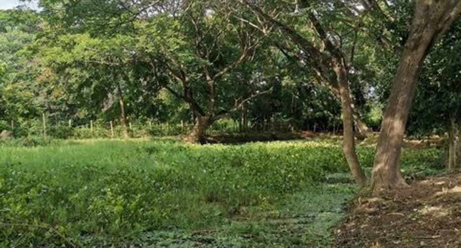 For sale land in Saraphi, Chiang Mai