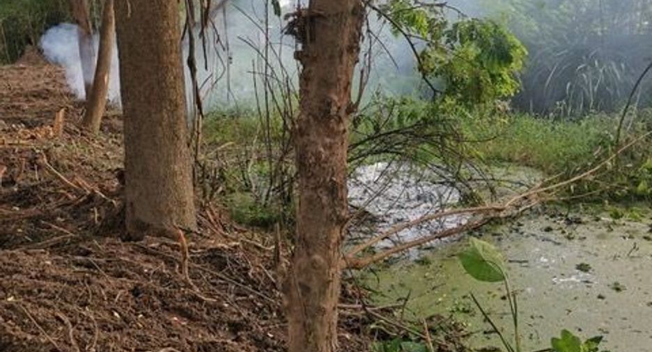 For sale land in Saraphi, Chiang Mai