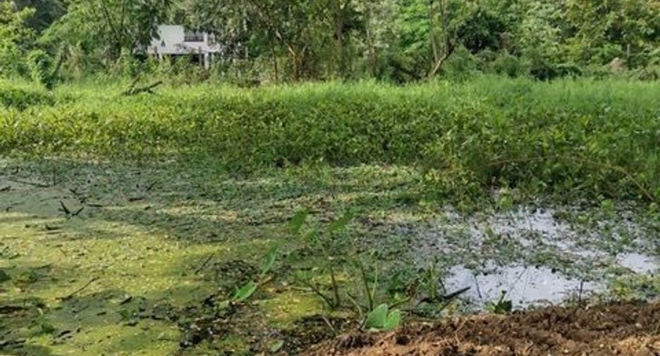 For sale land in Saraphi, Chiang Mai