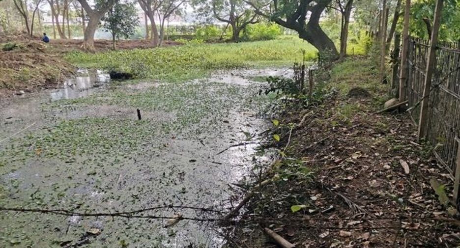 For sale land in Saraphi, Chiang Mai