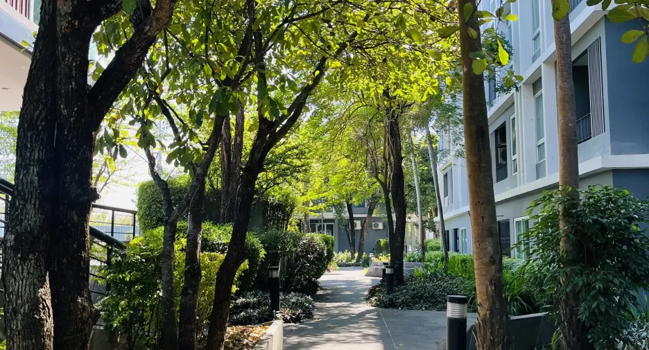 For rent 1 bed condo in Mueang Chiang Mai, Chiang Mai