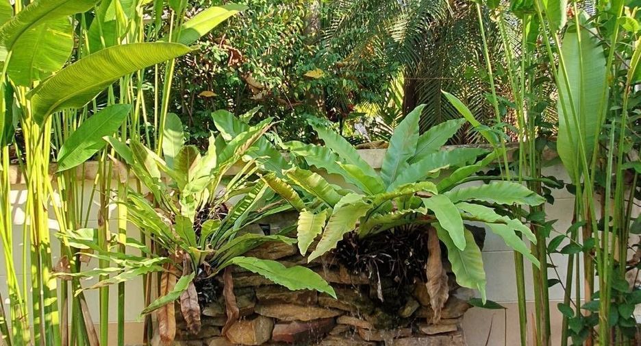 出租 3 卧室 独立屋 在 Hang Dong, Chiang Mai