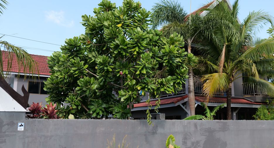 Casa en alquiler de 4 habitaciones en Kathu, Phuket