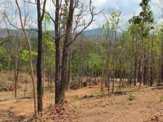 Terreno en venta en Mae On, Chiang Mai