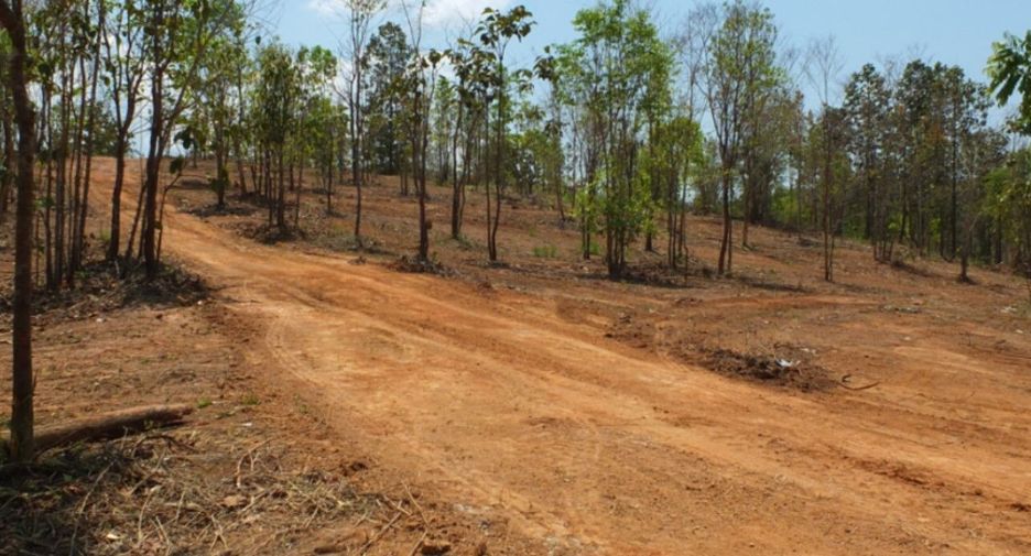 For sale land in Mae On, Chiang Mai