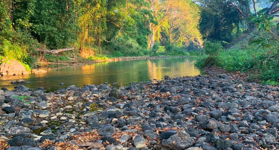 For sale land in Doi Saket, Chiang Mai