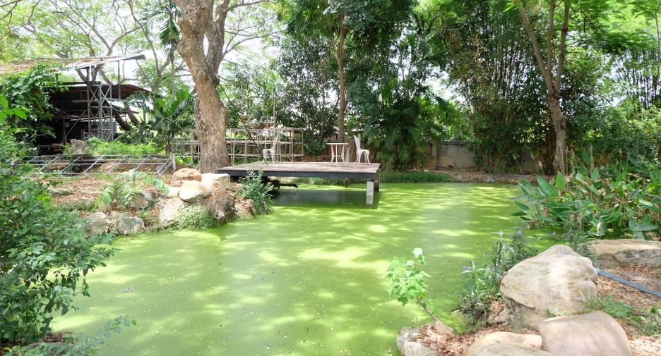 For sale 5 bedrooms house in Doi Saket, Chiang Mai