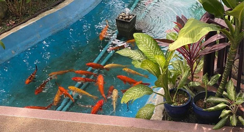 For sale and for rent 2 bedrooms condo 