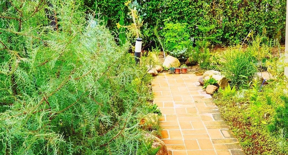 For sale 3 bedrooms house in San Sai, Chiang Mai